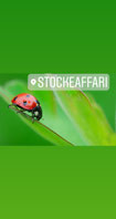stockeaffari.com