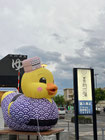 2025/04 PHOTO