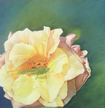 Margarete Stollberger