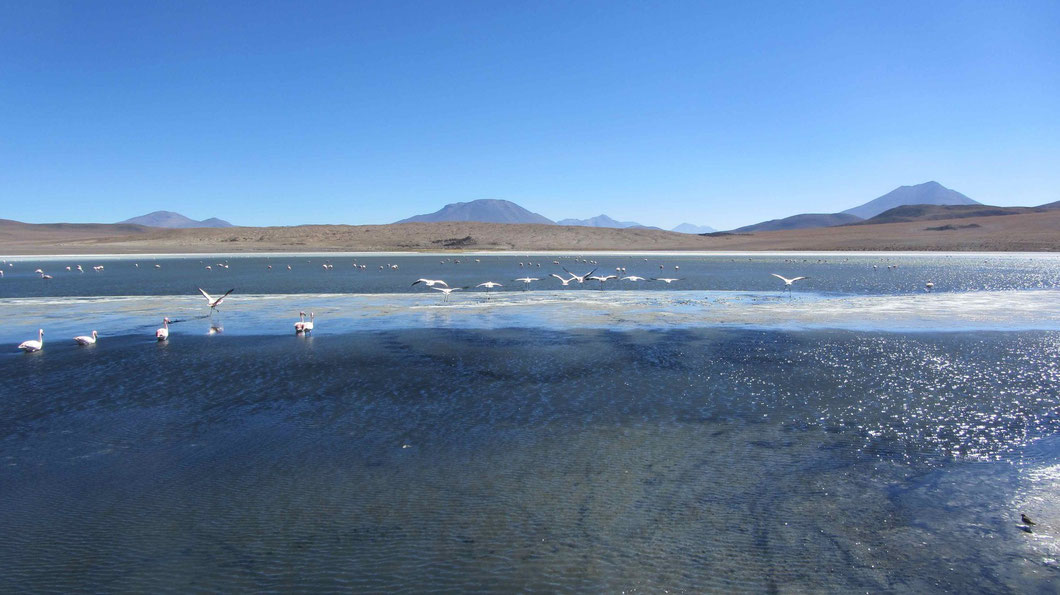 Laguna Hedionda