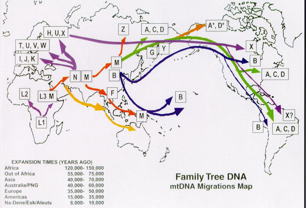human diaspora timeline This article forms a broad overview of the history of judaism the jewish tradition of the diaspora timeline for the history of judaism wikipedia. human diaspora timeline This article forms a broad overview of the history of judaism the jewish tradition of the diaspora timeline for the history of judaism wikipedia.