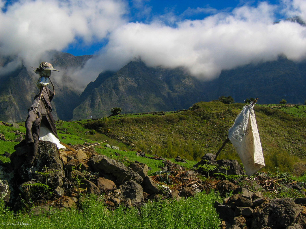 Dans le cirque de Salazie de la Réunion, épouvantail regardant interrogateur le drapeau blanc