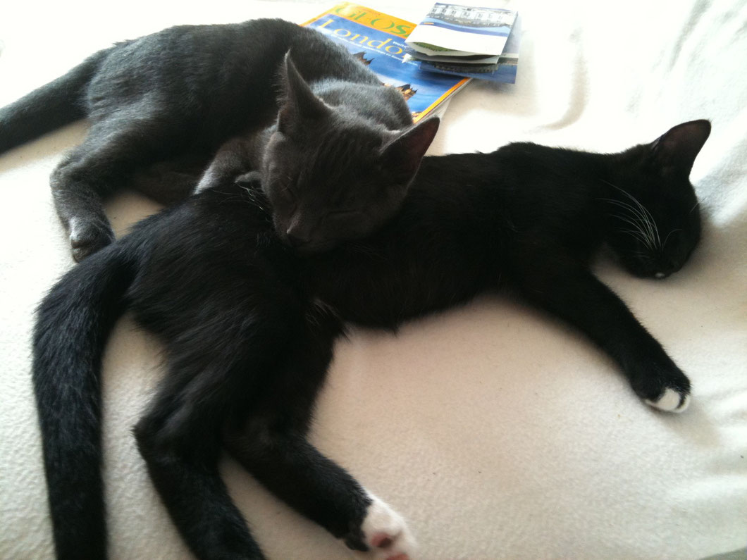 Charly & Billy