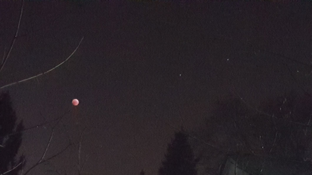 Mondfinsternis am 21.01.2019 um 06:04 MEZ. Ort Brühl/NRW. Blende F/1.7, ISO-1250, 1/4 Sek. Rechts sichtbar die Sterne Castor und Pollux.