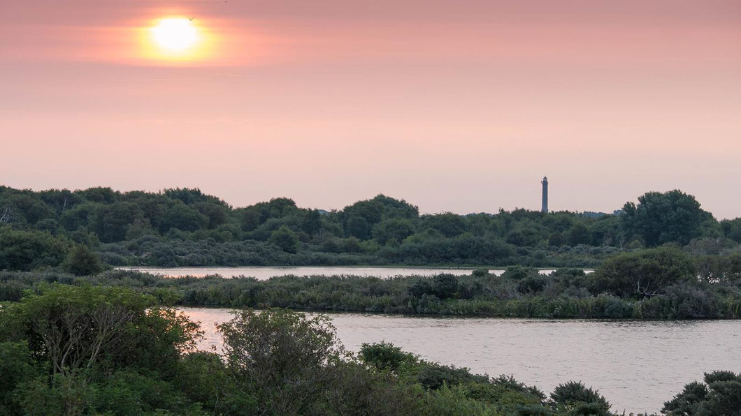 Norderney - Blick über das Naturschutzgebiet Südstrandpolder in Richtung Leuchtturm