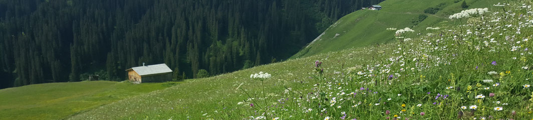 Alpenkräuter Krüterwibletag in Lech am Arlberg  Kräuterwerkstatt Lech