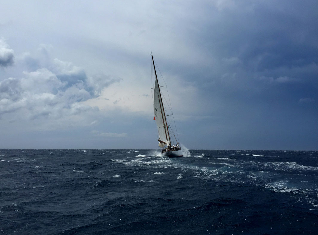 Bild von einem Seegelschiff auf dem Meer www.unsplash.com