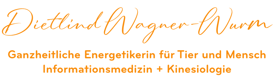 wagnerwurm-energetik.de