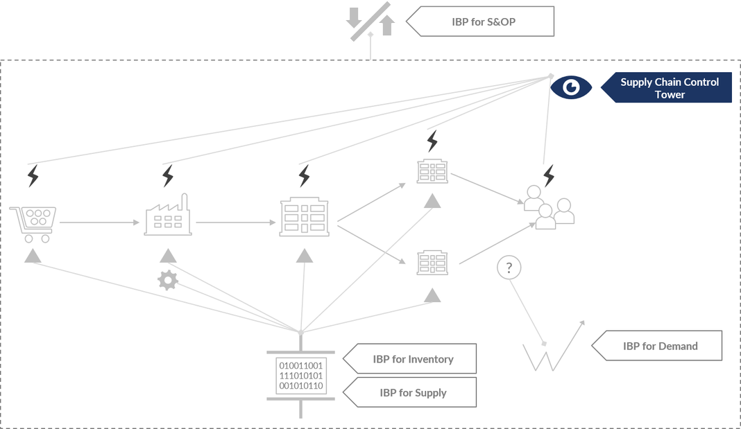 SAP SUPPLY CHAIN CONTROL TOWER (SCCT) alphachain Consulting