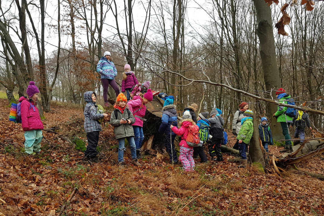 Die "Wilden Füchse" erforschen den Wald (Foto: M. Knippel)