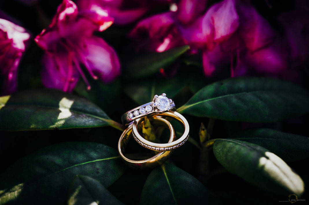 Tolles Ringfoto Hochzeit / Hochzeitsidee
