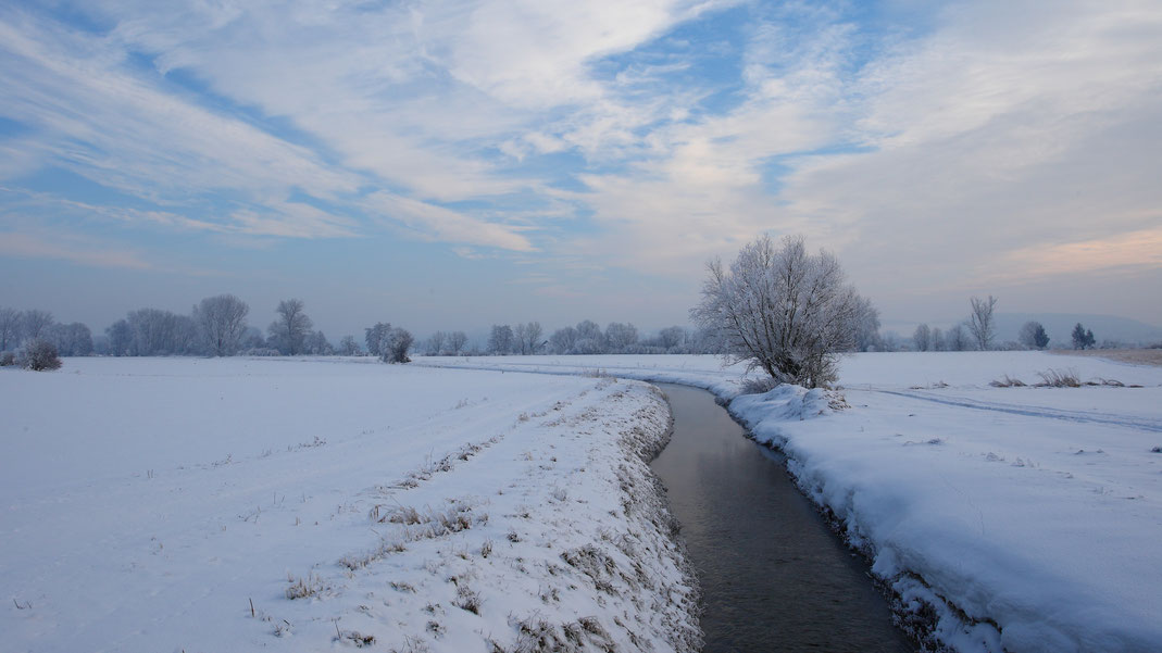 Frostiger Winter im Pilstinger Moos (Foto: Michael Herzig, Dezember 2010)