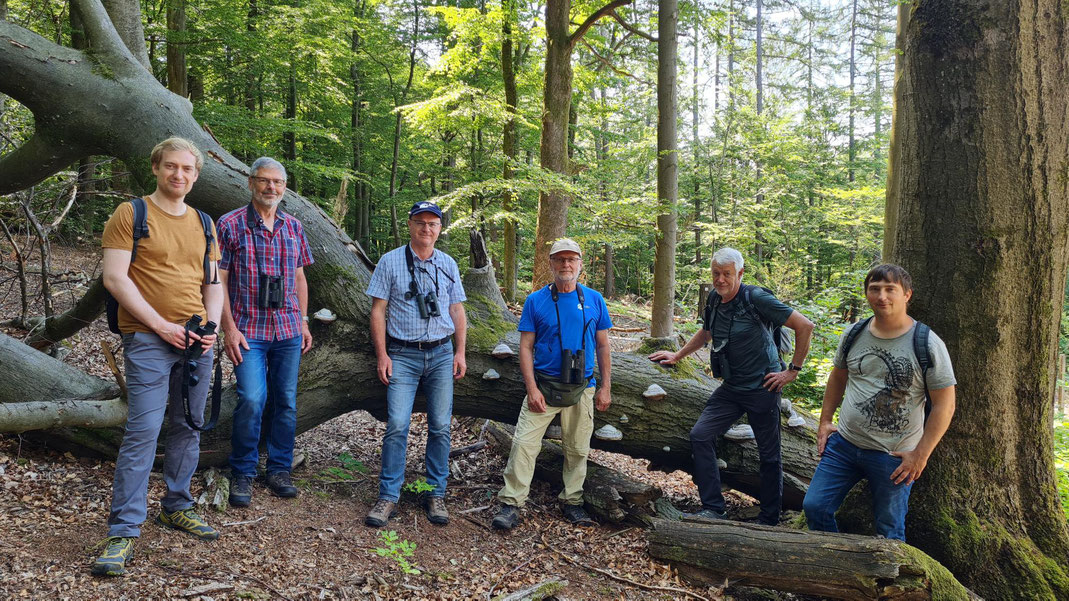 Die Spessartbegehung brachte dem LBV interessante Einblicke in Klasse 1 und Klasse 2 Wälder (v.l.n.r.: Roman Spies, Michael Neumann, Norbert Schäffer, Richard Kalkbrenner, Hartwig Brönner, Marc Sitkewitz)