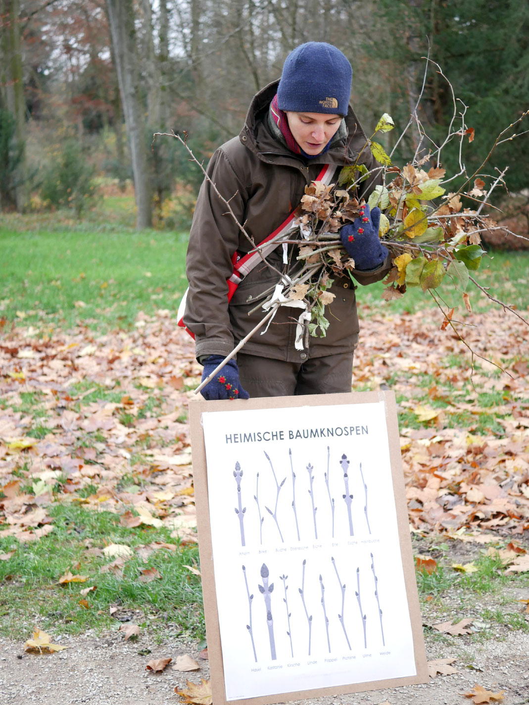 Judith Henkel zeigt, wie sich Bäume und Sträucher im Winter anhand der Knospen erkennen lassen (Foto: Sandra Nees)