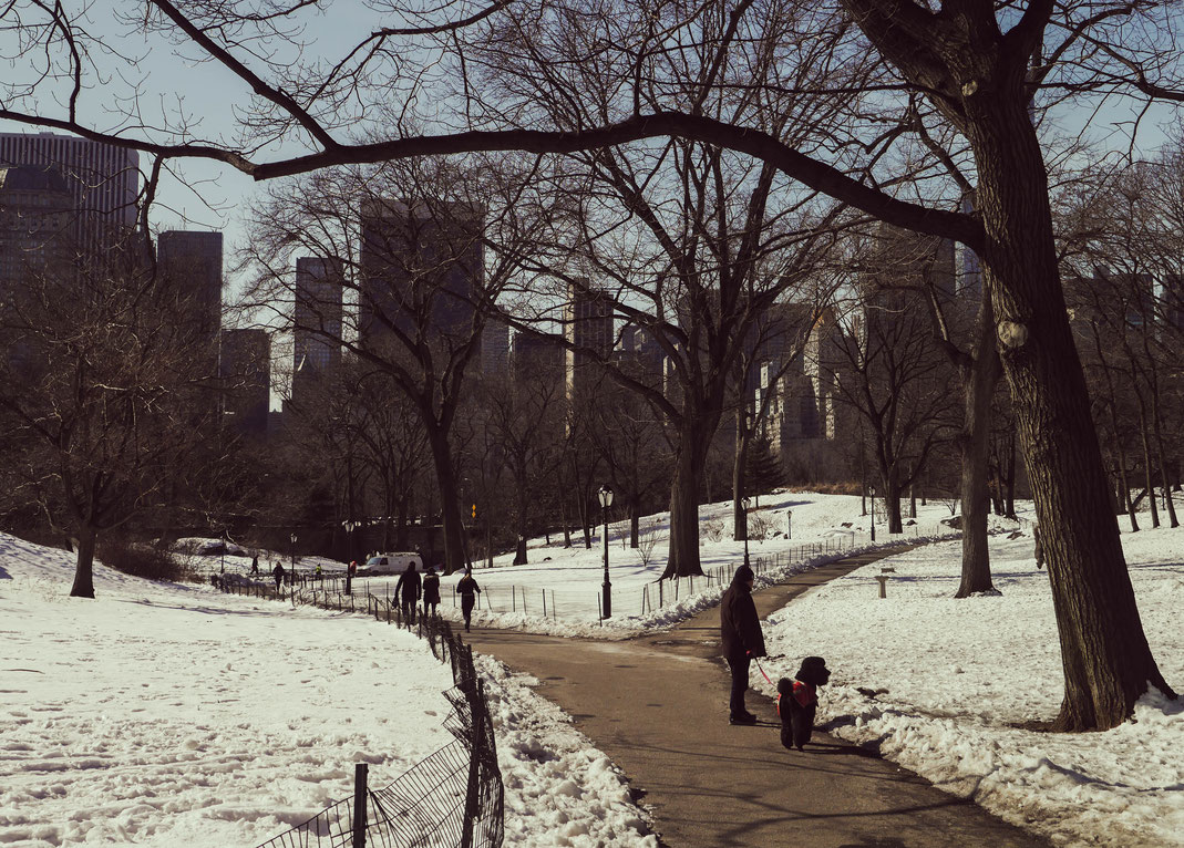 Central Park, New-York