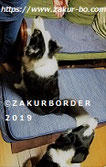 ＺＡＫＵＲＢＯＲＤＥＲ（サクールボーダー）ブログ、ボーダーコリーＭ＆Ｅ２０２１１０１２使用画像