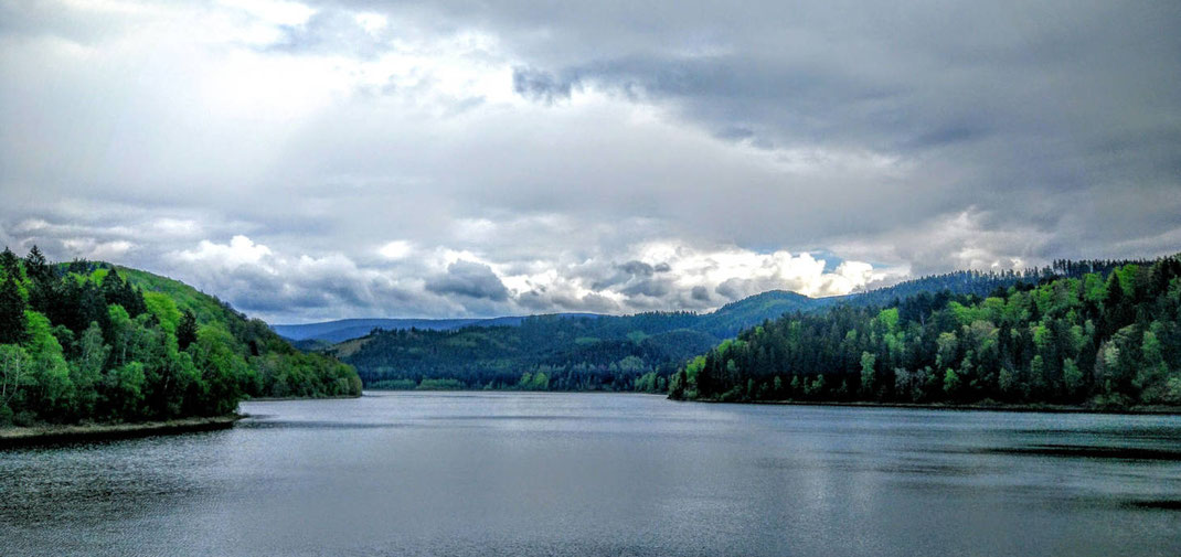 Blick über den Sösestausee/Harz - hier scheint die Welt noch okay zu sein.