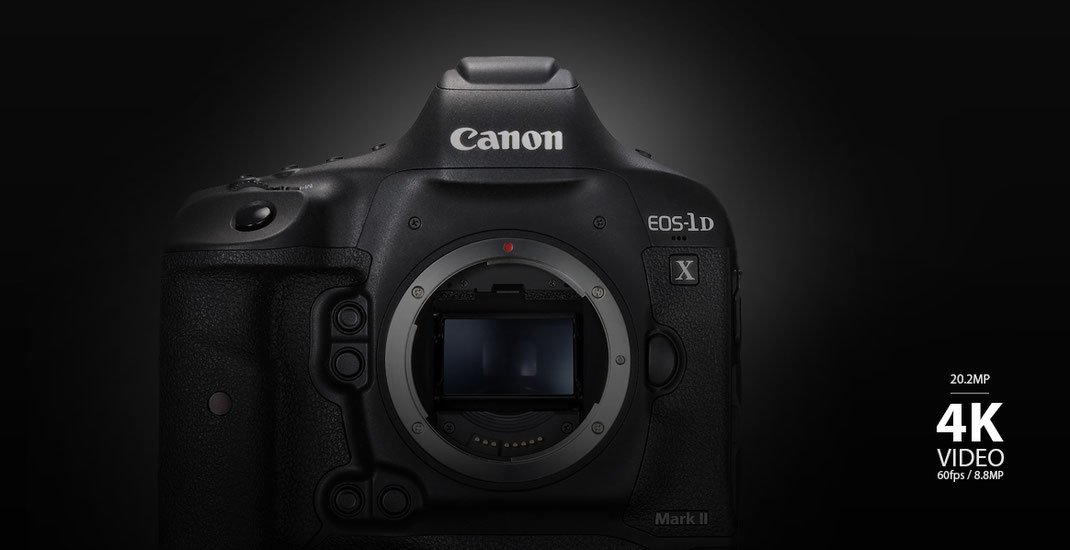 Canon EOS-1D X Mark II DSLR. 4K Video, 20.2 Megapixel Full-Frame CMOS Sensor - Brand New! - Image Art God & Love Inc. Copyrights © 2017