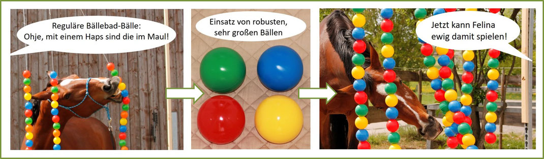 Bälletor, Bodenarbeit, Horsemanship, Gelassenheitstraining Hindernis, Agility Pferd, Knotenhalfter, Pferd Spaß Spiel