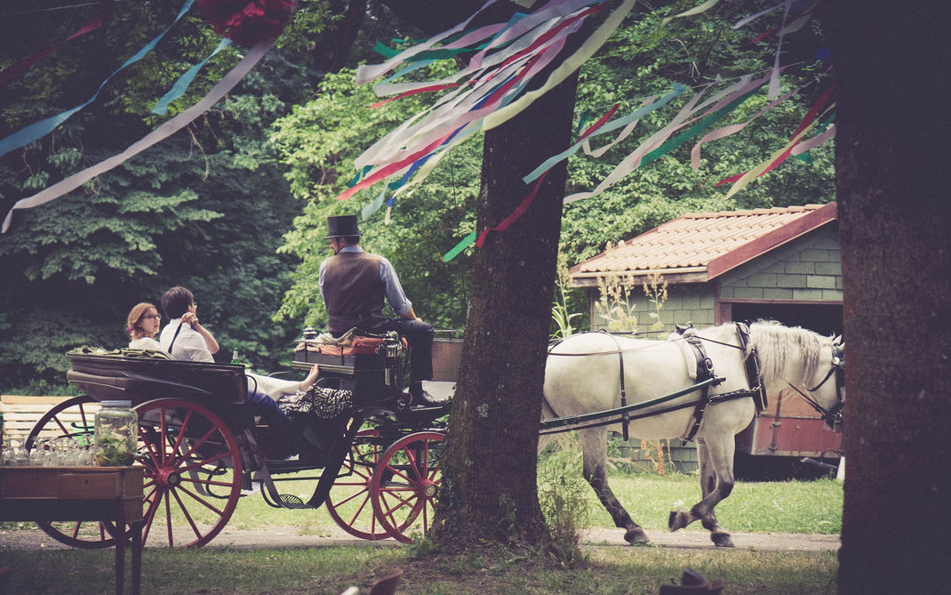 Freie Trauung, Freier Redner, Freier Redner, Freie Hochzeit, Hochzeitsredner, Heiraten in Bayern, Heiraten in Sachsen, Heiraten in Berlin, Heiraten in Hamburg, Heiraten in Hessen, Heiraten in Niedersachsen, Heiraten in Thüringen, Heiraten im Ausland