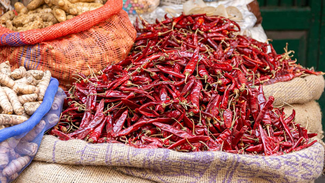 Piments rouges indiens.
