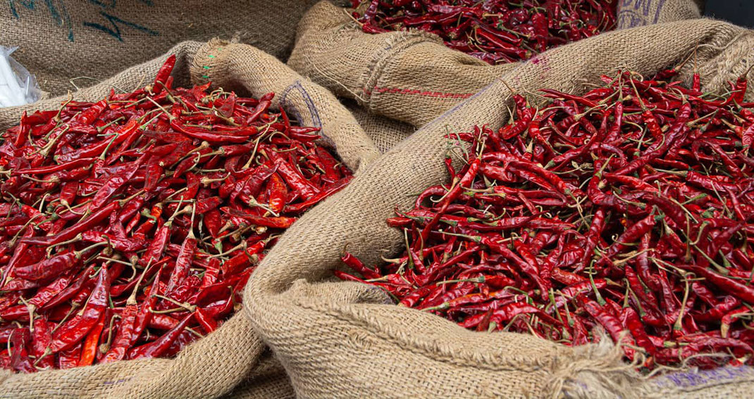 Piments rouges sur l'étale d'un marché à Ahmedabad (Gujarat).