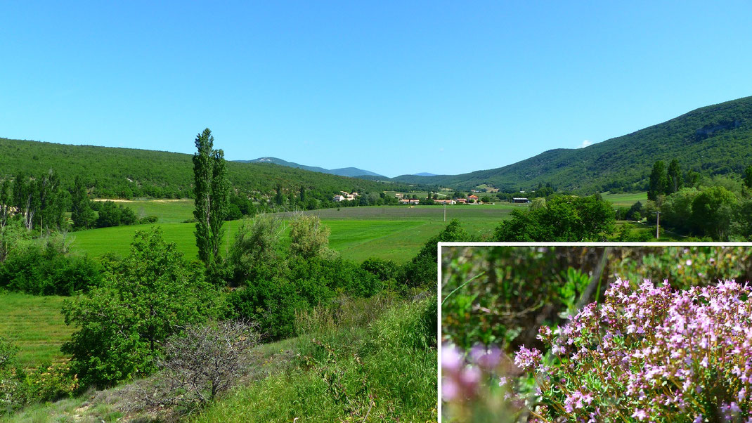 Photos - Jardin de la tuilerie, gîte et ferme à Banon en ...