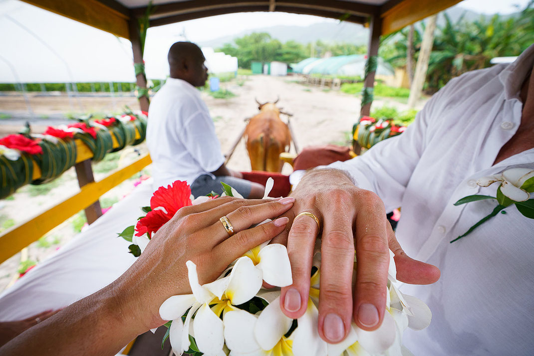 Hochzeitslocation Seychelles