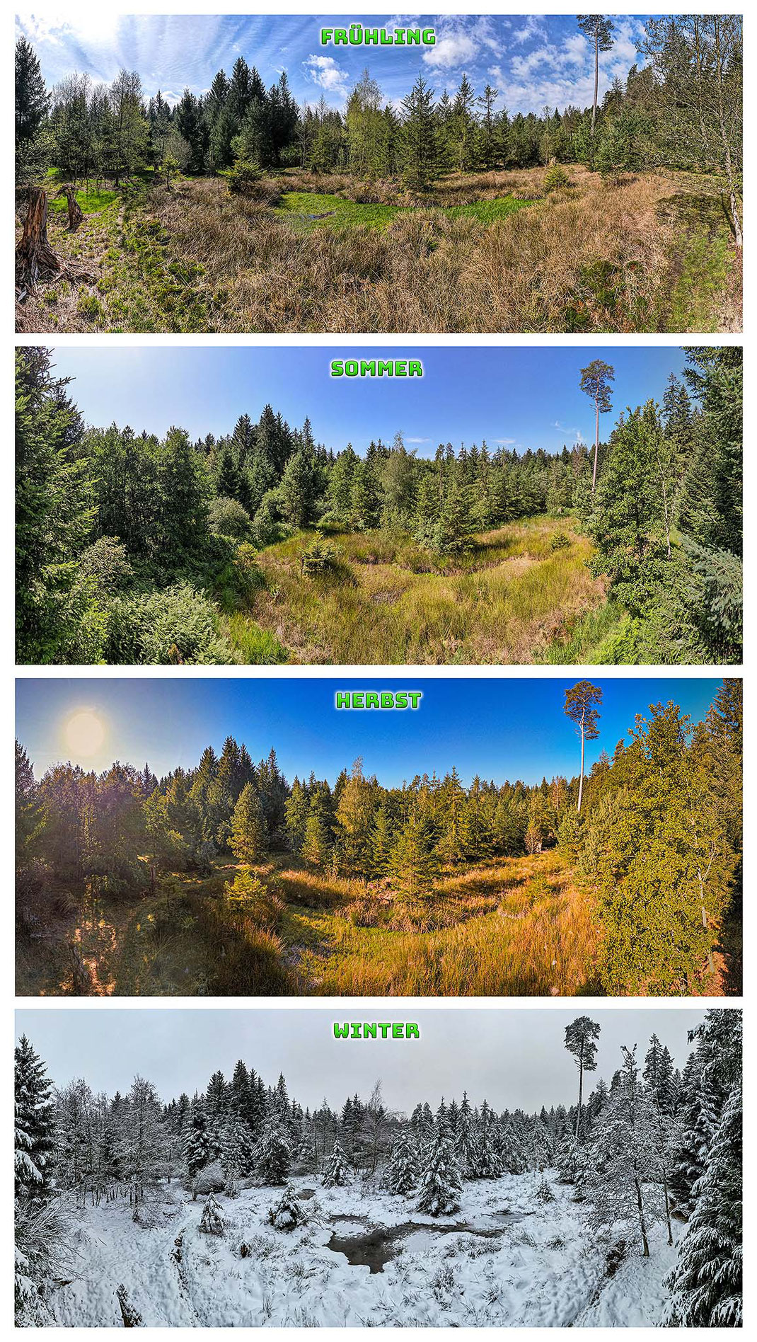 Die vier Jahreszeiten am Willbergwaldweiher und die "Verbrönnti Ärde"