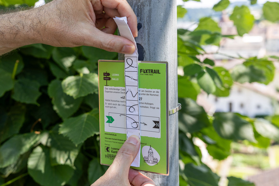 Foxtrail Willisau - Fotos by Thomi Studhalter, faszination fotografie, Willisau