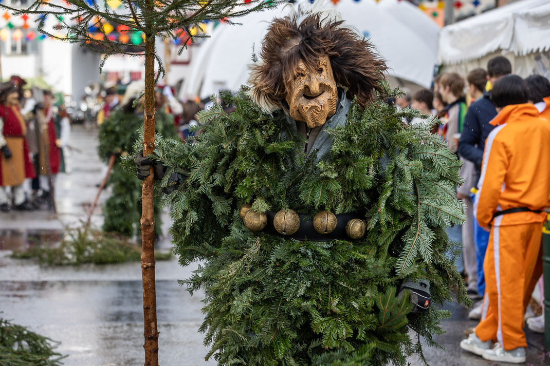 Fasnacht Willisau 2026