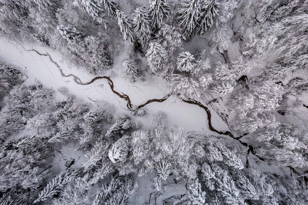 Winter im Tal der Enziwigger am Fusse des Hengst (Napfgebiet)