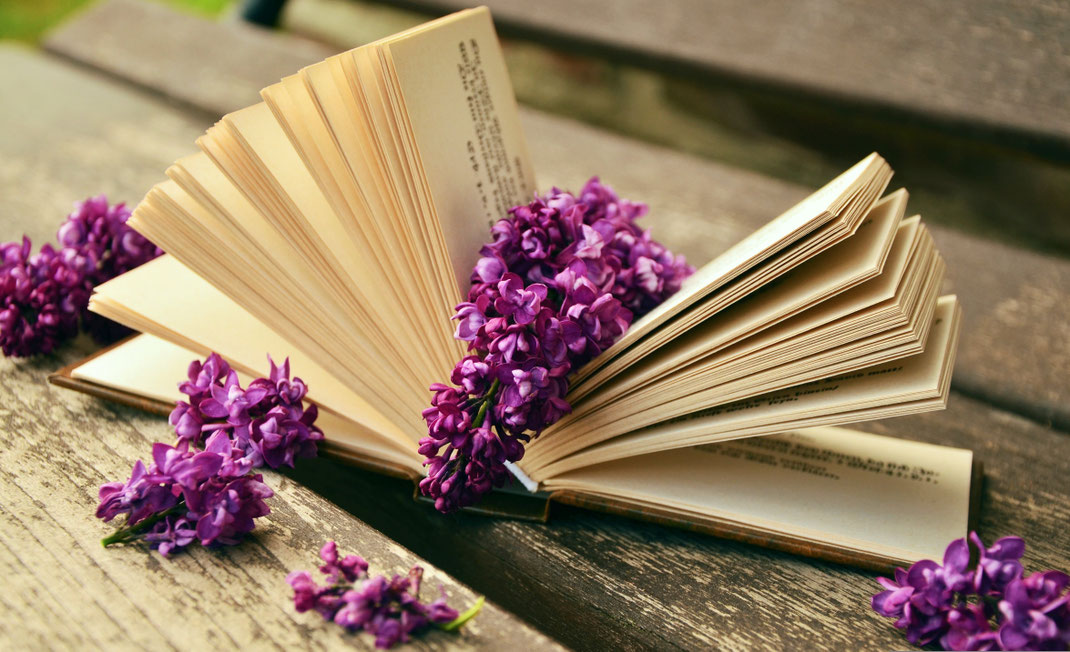  historische und literarische englische Cozy Crime-Romane