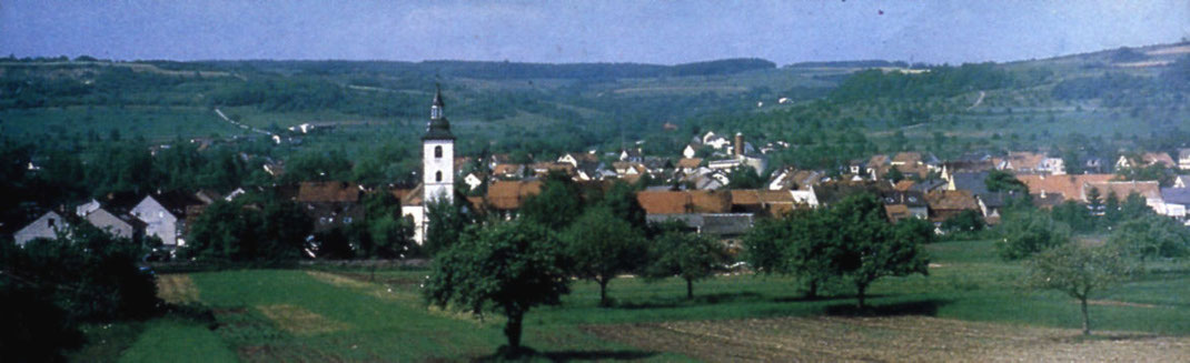 Panoramablick mit alter (Vordergrund, weißer Turm) und neuer (Hintergrund, rot-bräunlicher Turm) Pfarrkirche