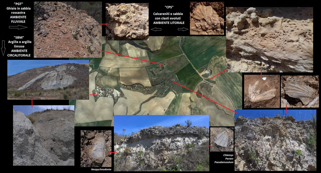 Riassunto delle litologie presenti nei dintorni dell'ex cava di Monte Riccio.