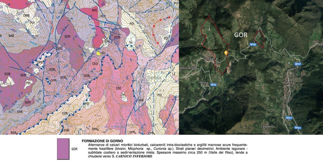 Carta geologica del luogo (fonte: ISPRA carte 1:50000) e ubicazione degli affioramenti della formazione di Gorno