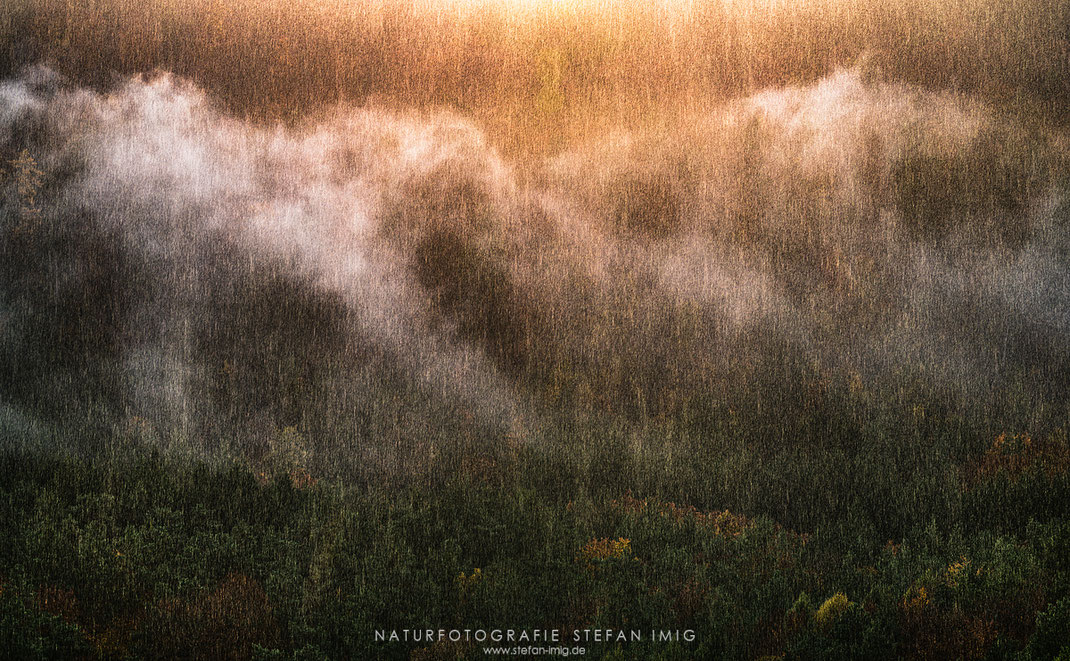 Regenschauer über dem Pfälzerwald, Pfalz