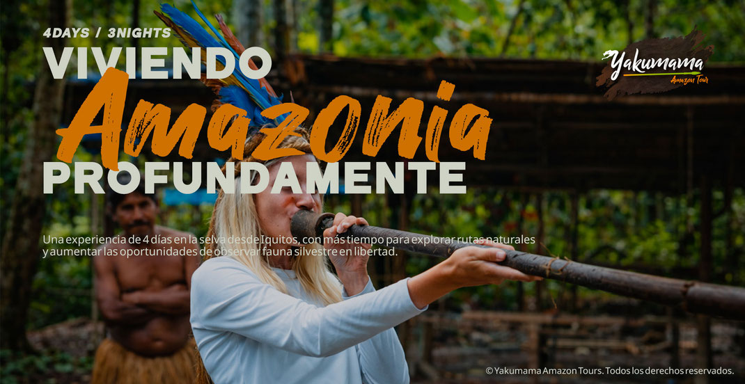 4-day Amazon jungle tour from Iquitos with more time for wildlife watching | Tour de 4 días en la selva amazónica
