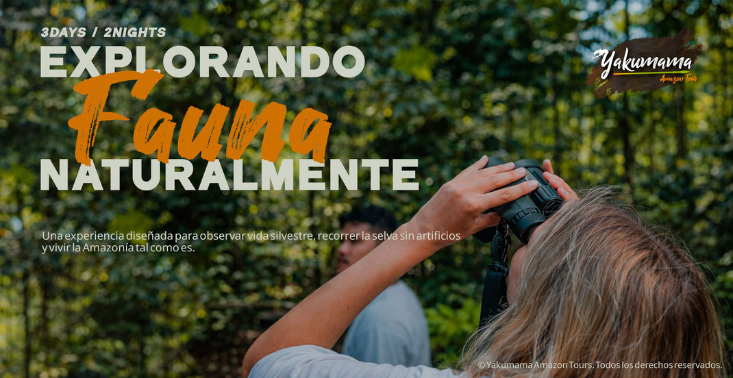 3-day Amazon jungle tour from Iquitos with lodge stay and local guide | Tour de 3 días en la selva desde Iquitos
