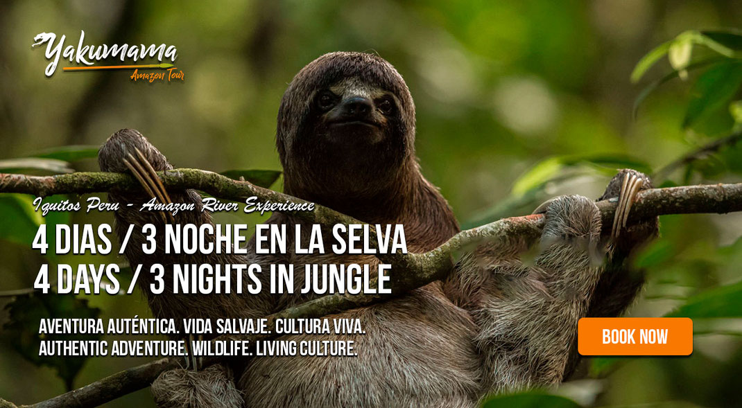 Tour de 4 días por la selva amazónica en Iquitos – delfines rosados, comunidades nativas y fauna salvaje Iquitos 4-day Amazon jungle tour – pink dolphins, native communities and wildlife adventure