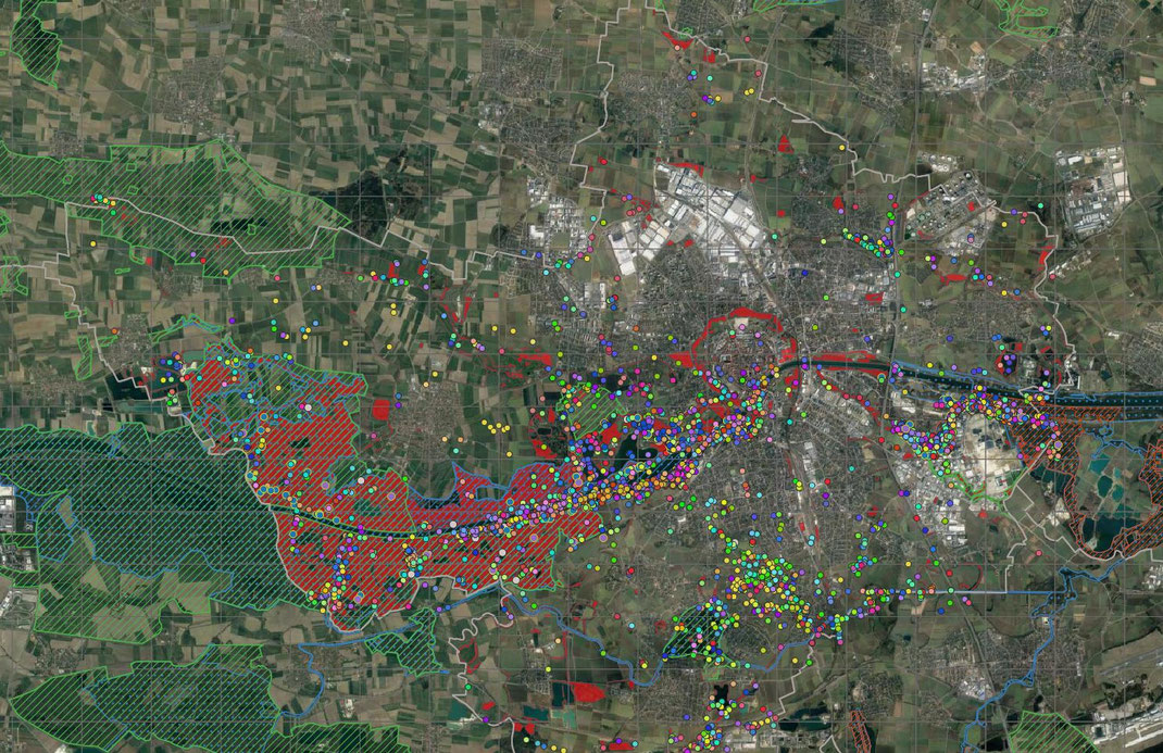 Alle Beobachtungseingaben im Jahr 2019 mit Schutzgebieten (Basis Google-Earth/ Copyright LBV Ingolstadt)