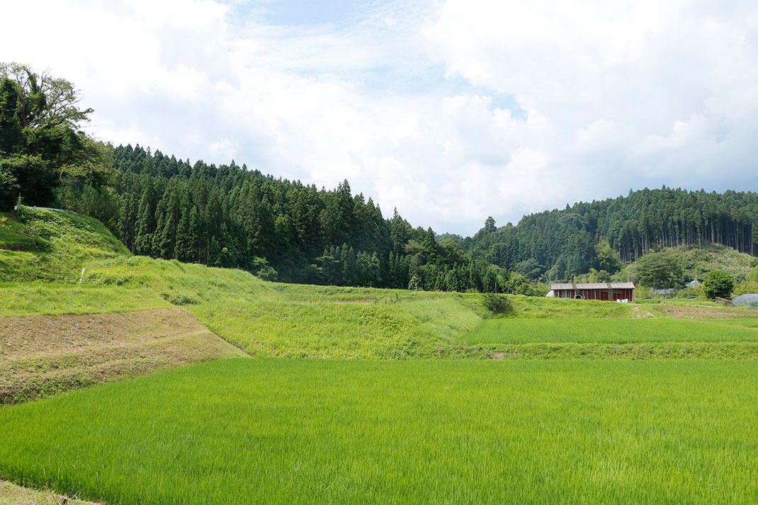 山浦農園のある曽爾村の風景