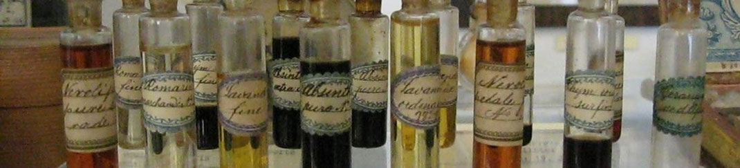 Bioresonanz Homoeopathie Resonanzcoaching Numerologie Bern Basel Sissach Liestal Zürich Luzern