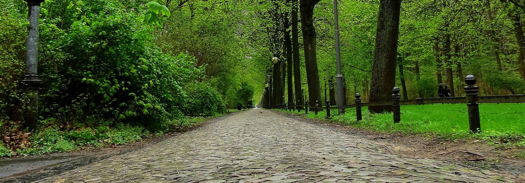 Sehenswürdigkeiten Berlin: Ein malerischer Kopfsteinpflasterweg führt einer Allee entlang durch den Großen Tiergarten.