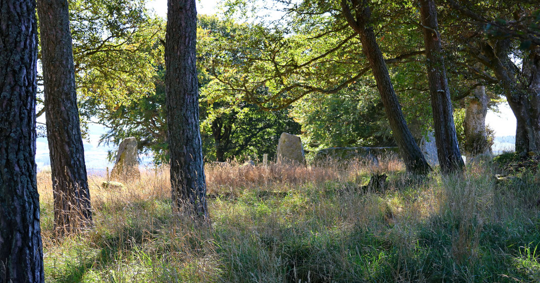Faszination Steinkreise & Standing Stones: 