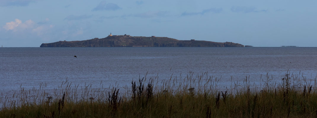 Sehenswürdigkeiten Anstruther: Vom Anstruther Hafen aus führen Schiffverbindungen zur Isle of May, der größten und äußersten Insel des Firth of Forth.