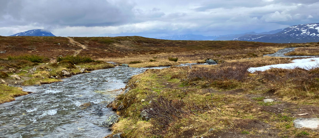 Sehenswürdigkeiten Kilpisjärvi - Dreiländereck: Ein breiter Bach mit starker Strömung mäandert durch ein mit Flechten bewachsenes Gebiet und verströmt eine idyllische Stimmung.