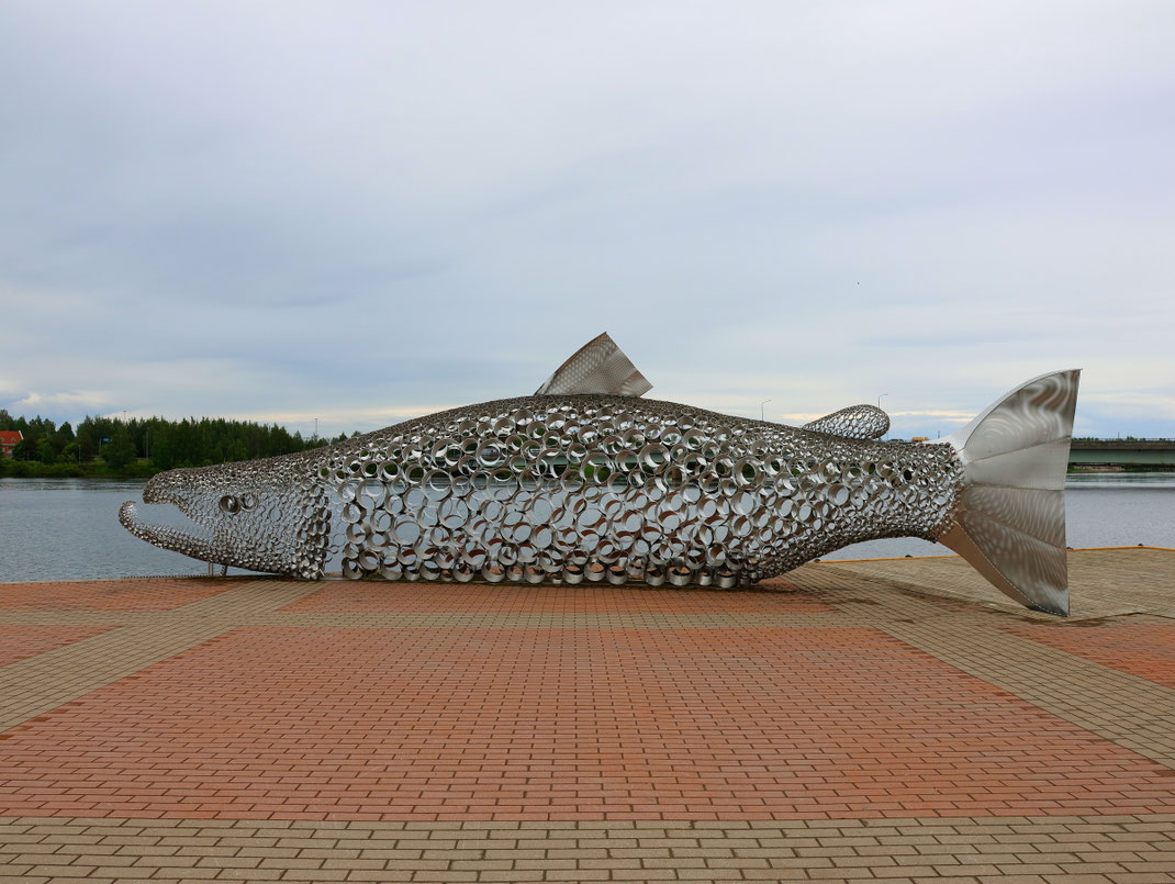 Sehenswürdigkeiten Tornio: Eine überlebensgroße Skulptur eines Lachs wurde auf einem Platz mitten in Tornio am Fluss Tornionjoki aufgestellt.