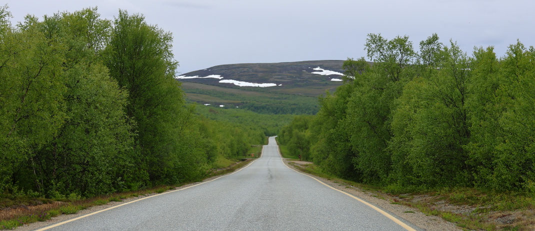 Sehenswürdigkeiten Finnland: Eine Straße führt ohne Kurve über eine lange Strecke durch den finnischen Wald. Erst am Fuß eines Berges biegt die Straße rechts ab.