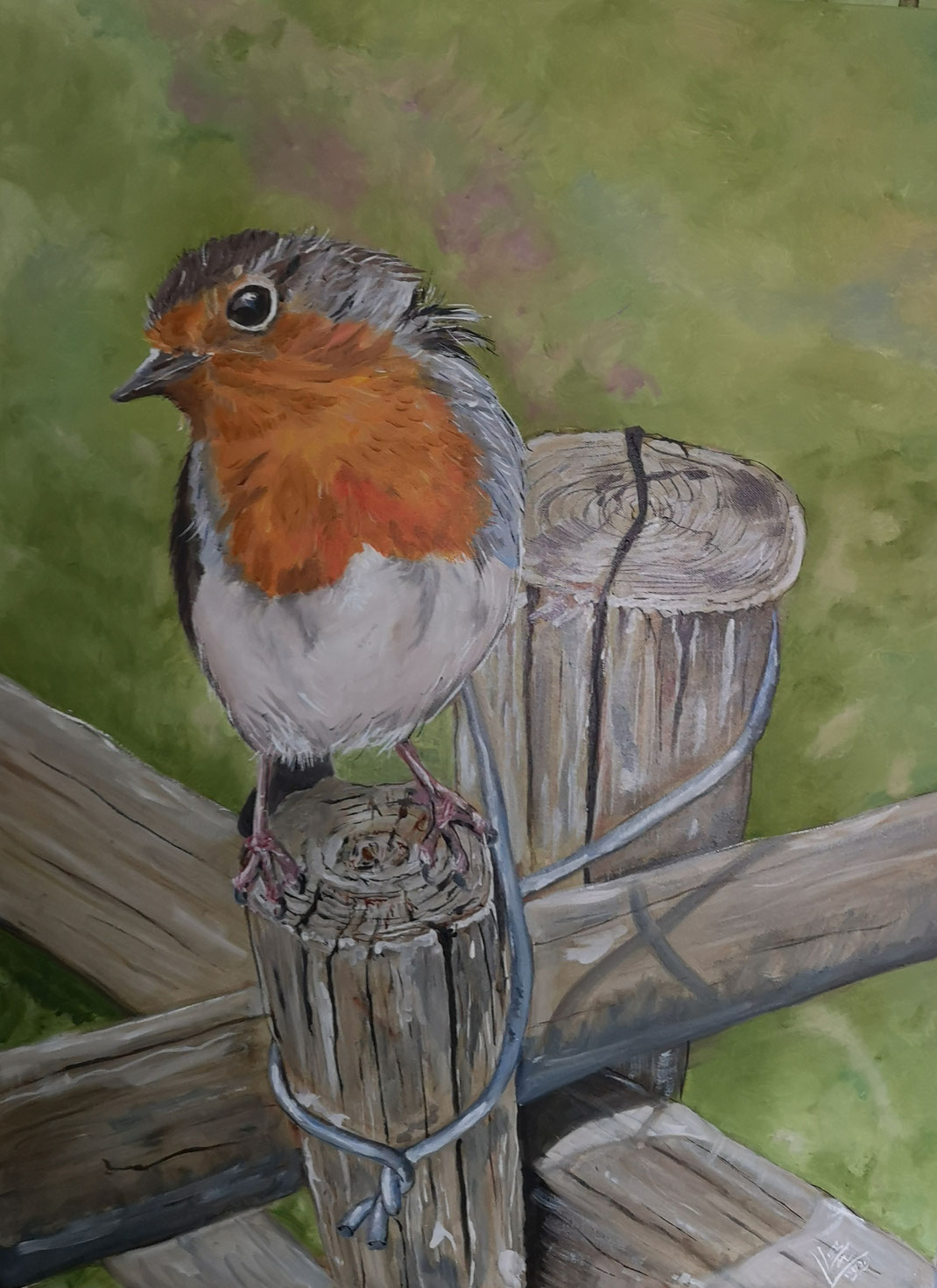 8. GIant robin "Cross road" 60x80 cm